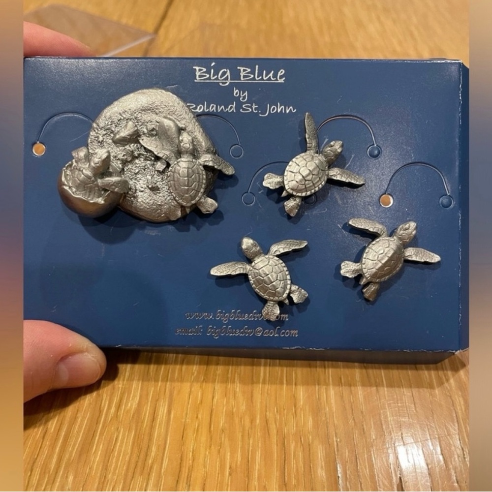 Metal Turtle Magnet Set